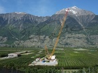 Grue Toggenburger Charrat 2012 (163)