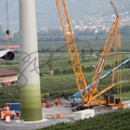 Grue Toggenburger Charrat 2012 (198)