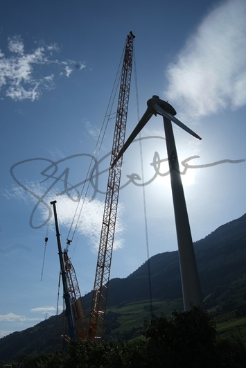 Grue Toggenburger Charrat 2012 (199).jpg