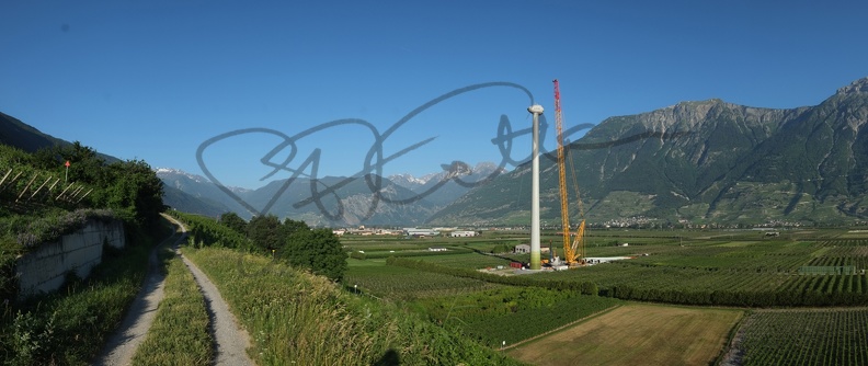 Grue Toggenburger Charrat 2012 (202).jpg