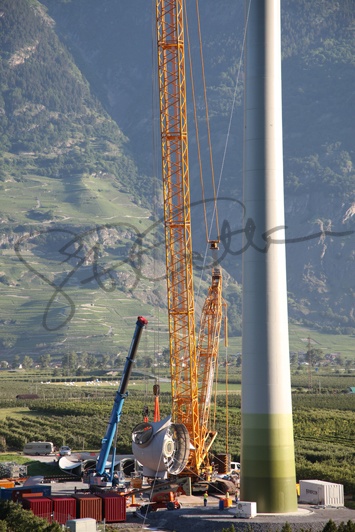 Grue Toggenburger Charrat 2012 (203)