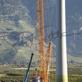Grue Toggenburger Charrat 2012 (203)
