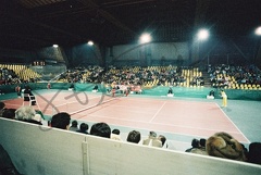Borg (13)
