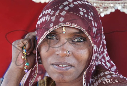 Inde Pushkar 2011