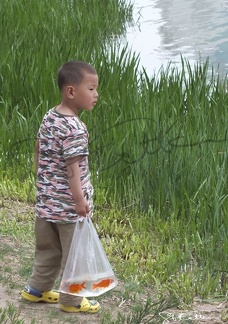 L'enfant et les poissons rouges- Beijing 2011