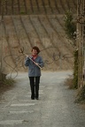 Anne Roumanoff (2)