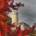 chateau arbre rouge OK