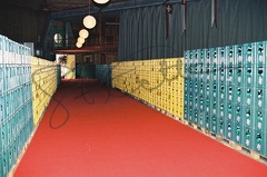 CNV000338