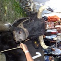 DSCF0654