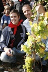 Tom Lüthi 2007
