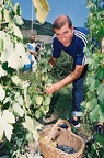 abbe pierre & zidane (195)