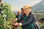 ustinov (40)