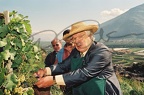ustinov (42)