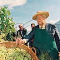 ustinov (60)
