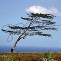 Hawaii 4.04.2008