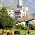 Martigny le 15.11.2011