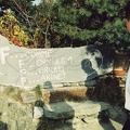 schumacher  (225)