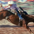 USA 1979