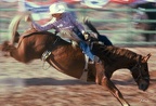 USA 1979