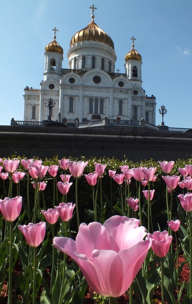 Moscou Christ-Sauveur 2011.jpg
