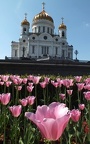 Moscou Christ-Sauveur 2011