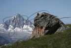 le rocher Iguane devant le Bietschhorn le 2.08.2013