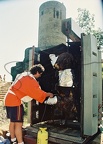 CNV000125