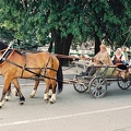 CNV000043