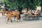 CNV000043