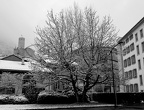 DSCF5228