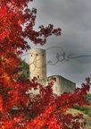 chateau arbre rouge OK