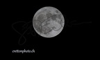 GAT28750 - Copie
