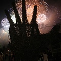 IMG 0205 - Copie