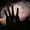 IMG 0219 - Copie